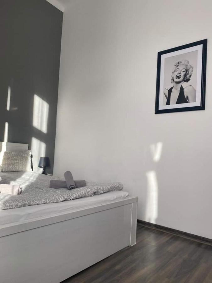 Apartament Szafir ジェシュフ エクステリア 写真