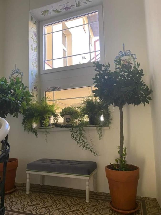 Apartament Szafir ジェシュフ エクステリア 写真